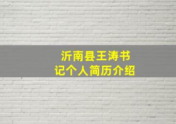 沂南县王涛书记个人简历介绍