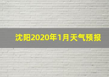 沈阳2020年1月天气预报