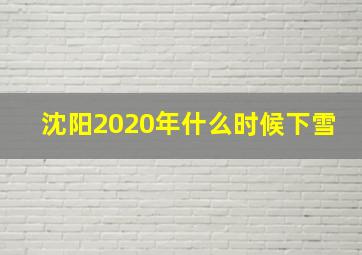 沈阳2020年什么时候下雪