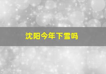 沈阳今年下雪吗