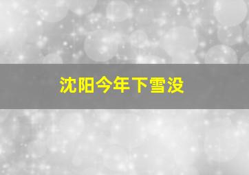 沈阳今年下雪没