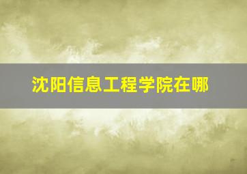 沈阳信息工程学院在哪