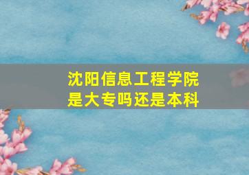 沈阳信息工程学院是大专吗还是本科