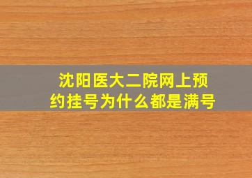 沈阳医大二院网上预约挂号为什么都是满号