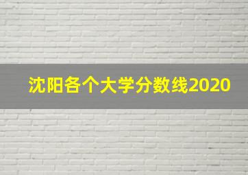 沈阳各个大学分数线2020