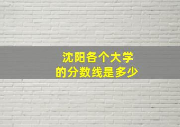 沈阳各个大学的分数线是多少