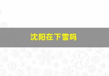 沈阳在下雪吗