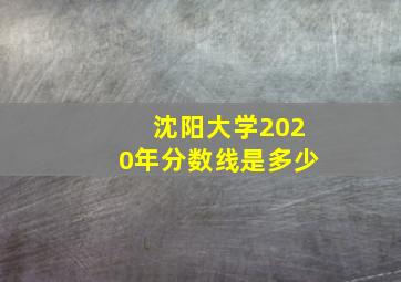 沈阳大学2020年分数线是多少