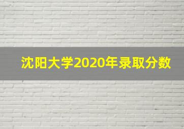 沈阳大学2020年录取分数