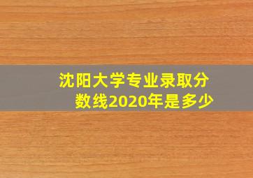 沈阳大学专业录取分数线2020年是多少