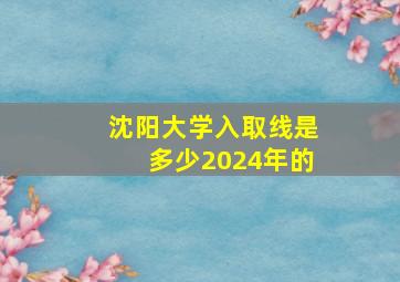 沈阳大学入取线是多少2024年的