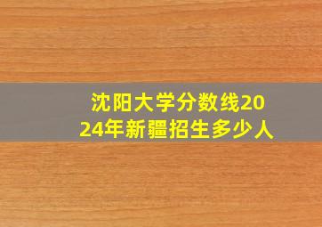 沈阳大学分数线2024年新疆招生多少人