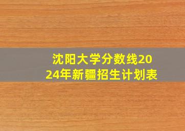 沈阳大学分数线2024年新疆招生计划表