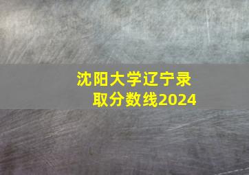 沈阳大学辽宁录取分数线2024