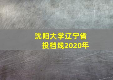 沈阳大学辽宁省投档线2020年