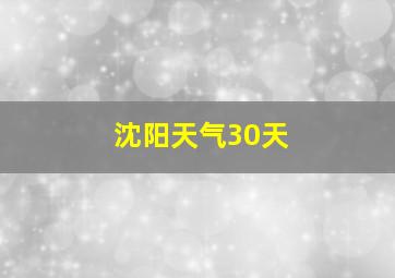 沈阳天气30天