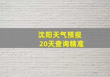 沈阳天气预报20天查询精准