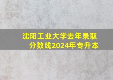 沈阳工业大学去年录取分数线2024年专升本