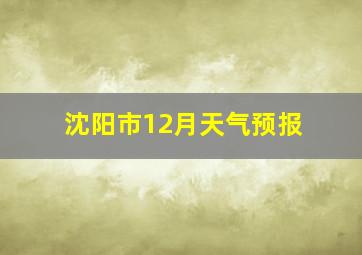 沈阳市12月天气预报