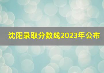 沈阳录取分数线2023年公布