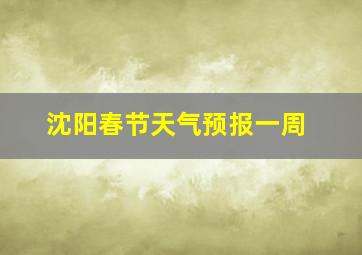 沈阳春节天气预报一周