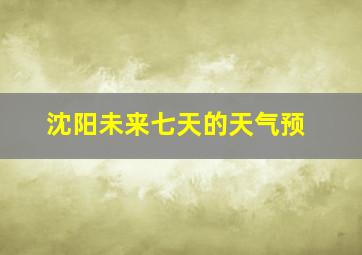 沈阳未来七天的天气预