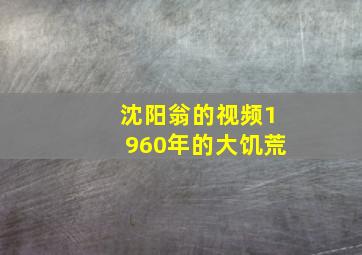 沈阳翁的视频1960年的大饥荒