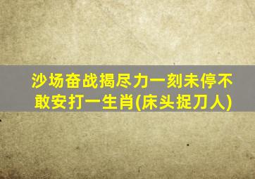 沙场奋战揭尽力一刻未停不敢安打一生肖(床头捉刀人)