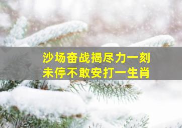 沙场奋战揭尽力一刻未停不敢安打一生肖