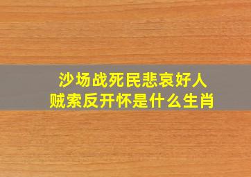 沙场战死民悲哀好人贼索反开怀是什么生肖