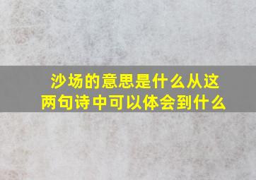 沙场的意思是什么从这两句诗中可以体会到什么