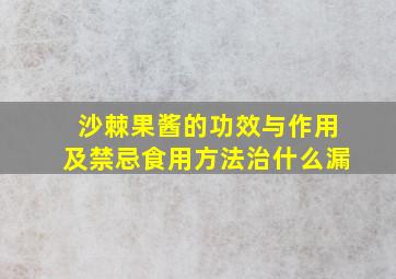 沙棘果酱的功效与作用及禁忌食用方法治什么漏