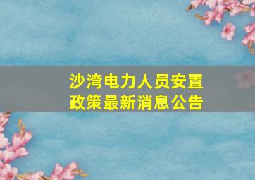 沙湾电力人员安置政策最新消息公告