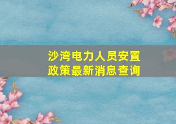 沙湾电力人员安置政策最新消息查询