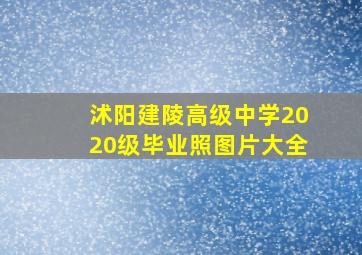 沭阳建陵高级中学2020级毕业照图片大全