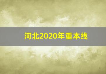 河北2020年重本线