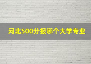 河北500分报哪个大学专业