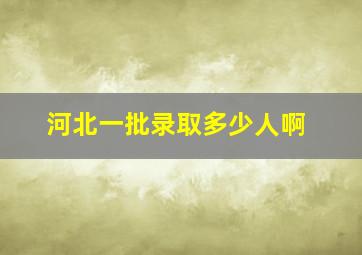 河北一批录取多少人啊