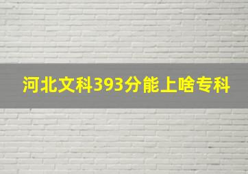 河北文科393分能上啥专科