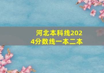 河北本科线2024分数线一本二本