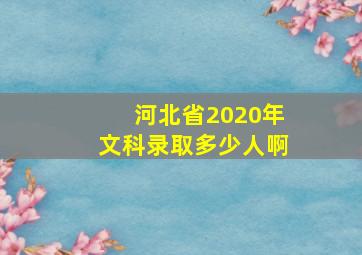 河北省2020年文科录取多少人啊