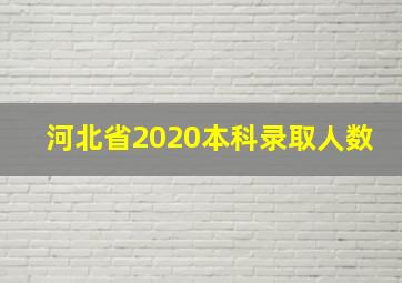 河北省2020本科录取人数