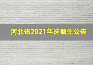 河北省2021年选调生公告