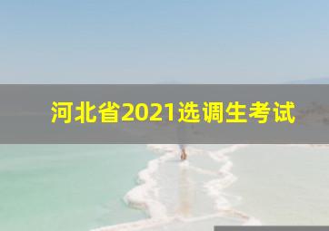 河北省2021选调生考试