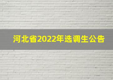 河北省2022年选调生公告