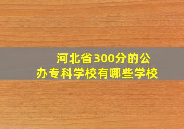 河北省300分的公办专科学校有哪些学校