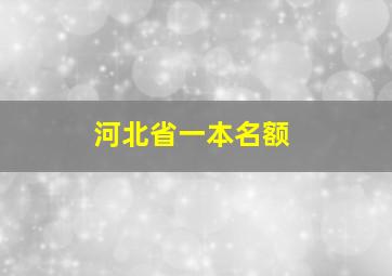 河北省一本名额