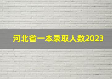 河北省一本录取人数2023