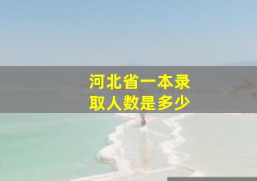 河北省一本录取人数是多少