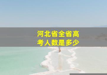 河北省全省高考人数是多少